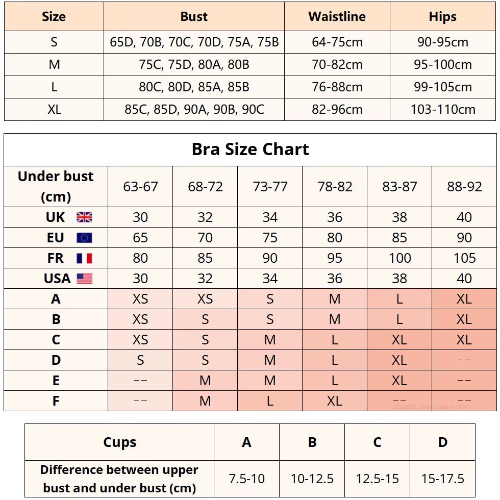 Lady Floral Lace Embroidery Lingerie Sets Women See-Through Bra and Panty Set Underwear Sexy Hot Int...