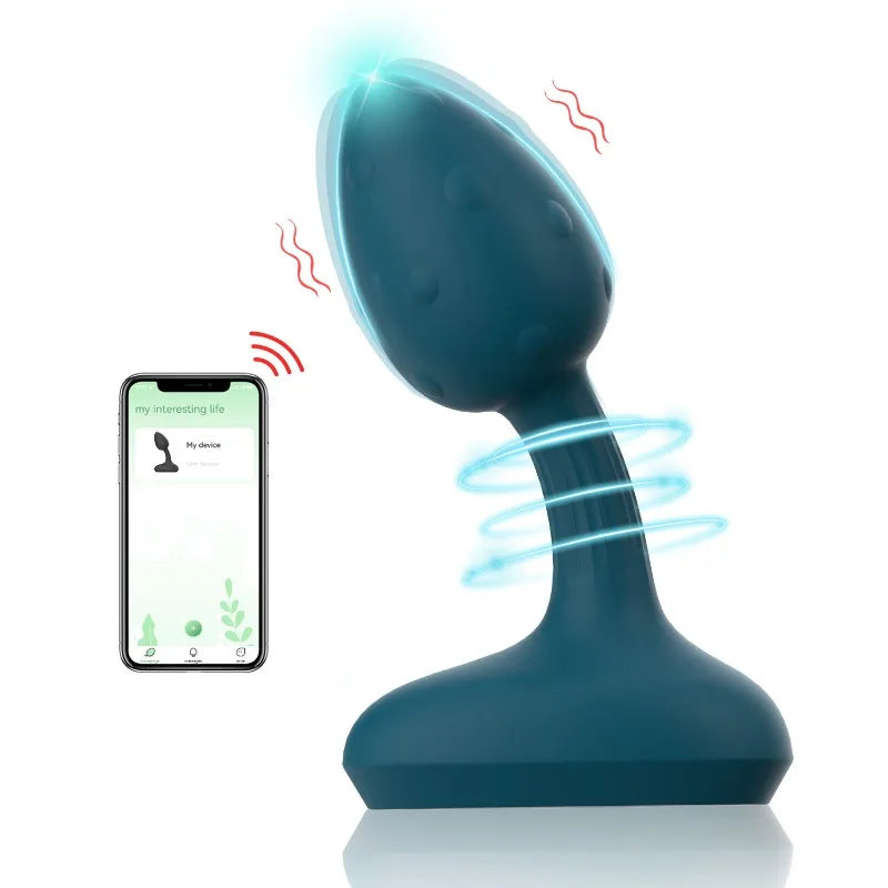 Remote Controlled Vibrator
