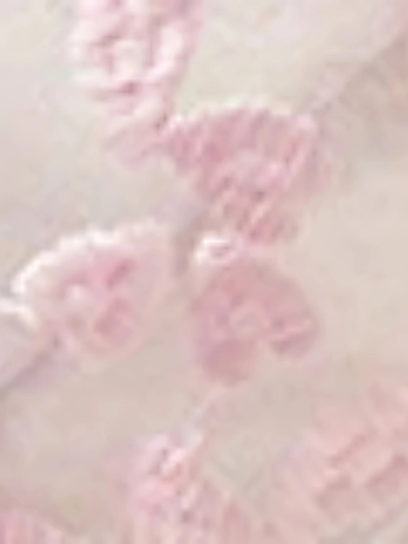 Women's embroidered sexy lingerie set, pull-up bra and mesh briefs