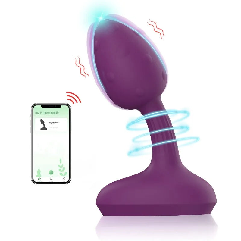 Remote Controlled Vibrator