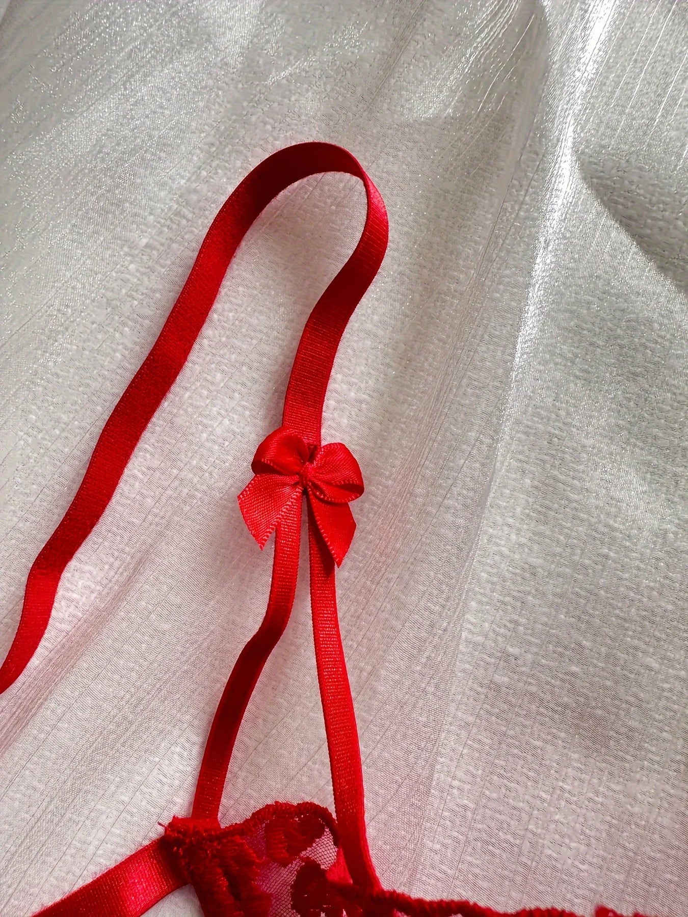 Women's embroidered sexy lingerie set, pull-up bra and mesh briefs