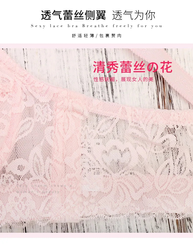 Lace Push-up Bra and Thin Panty set