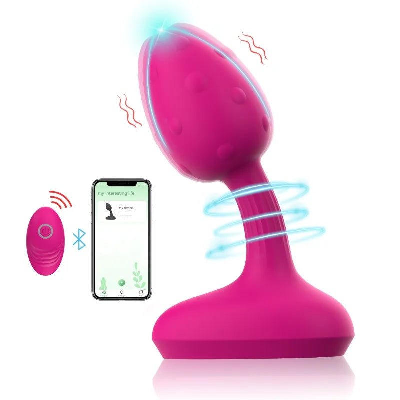 Remote Controlled Vibrator